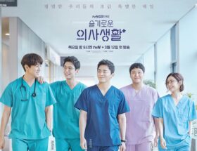 Korean drama smart doctors