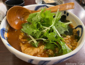 Hoshina-tomato-udon-soup