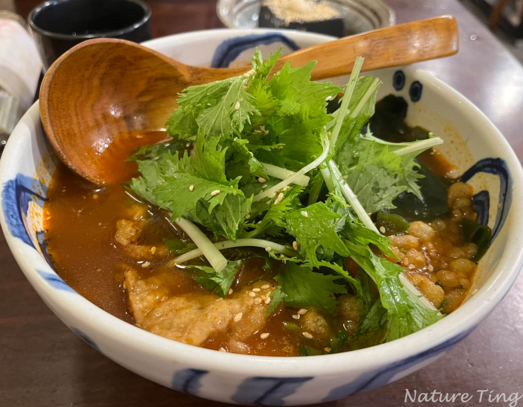 Hoshina-tomato-udon-soup