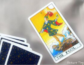 Tarot card The Fool