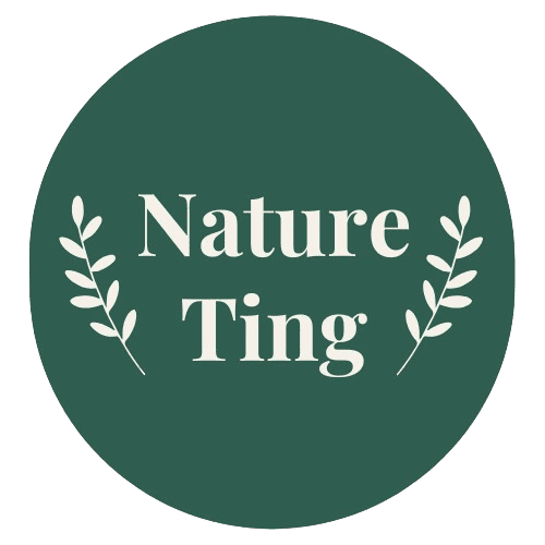 nature ting new logo-1